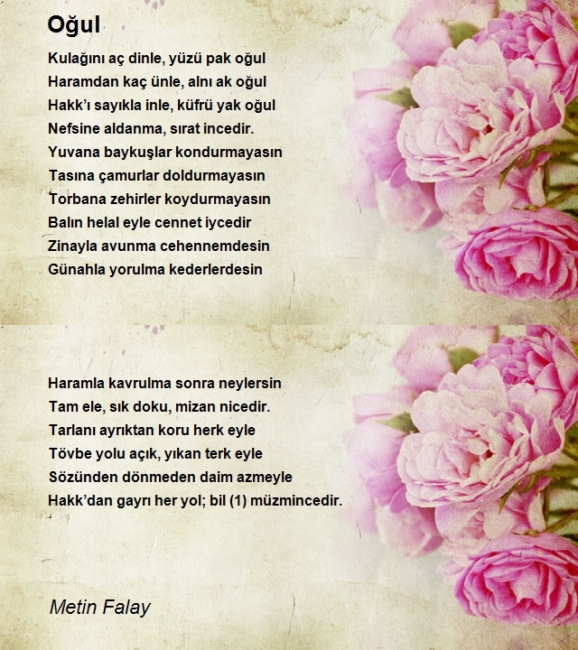 Metin Falay