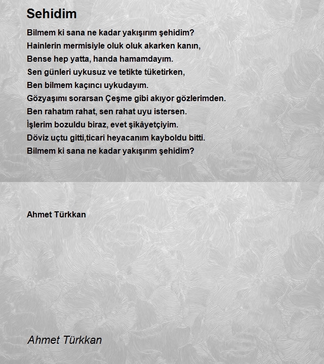 Ahmet Türkkan