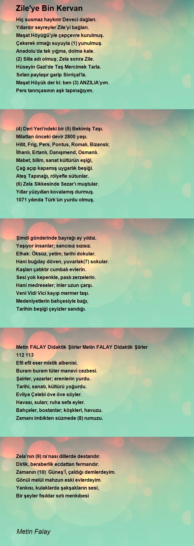 Metin Falay