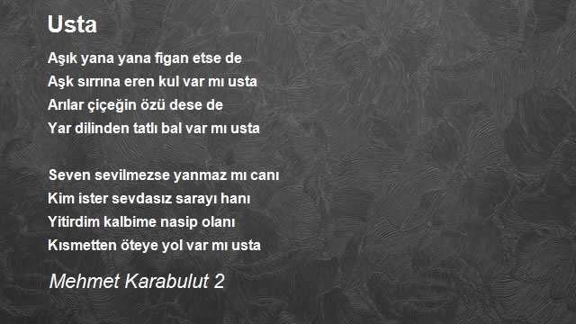 Mehmet Karabulut 2