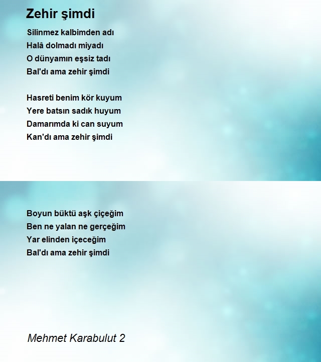 Mehmet Karabulut 2