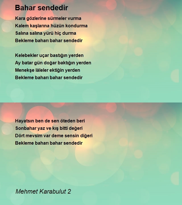 Mehmet Karabulut 2