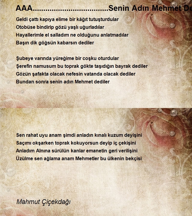 Mahmut Çiçekdağı