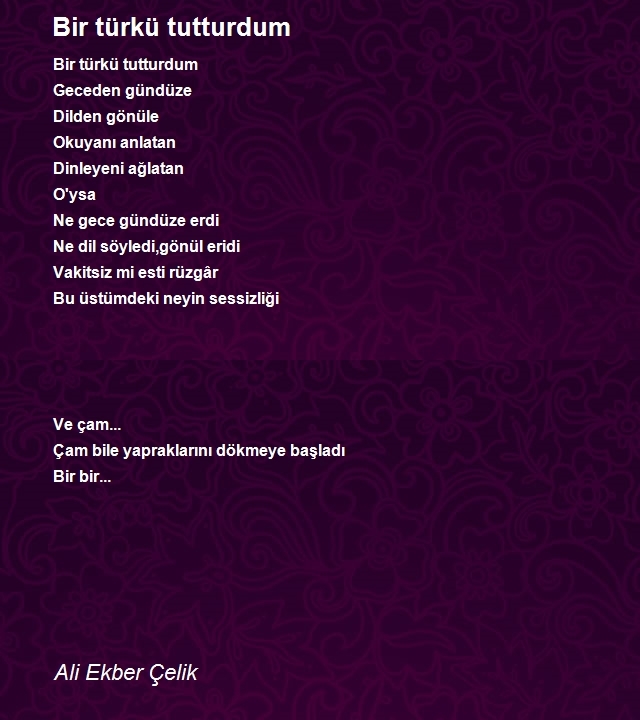 Ali Ekber Çelik