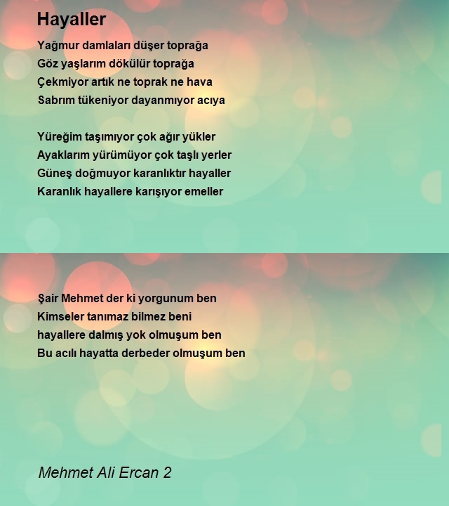 Mehmet Ali Ercan 2