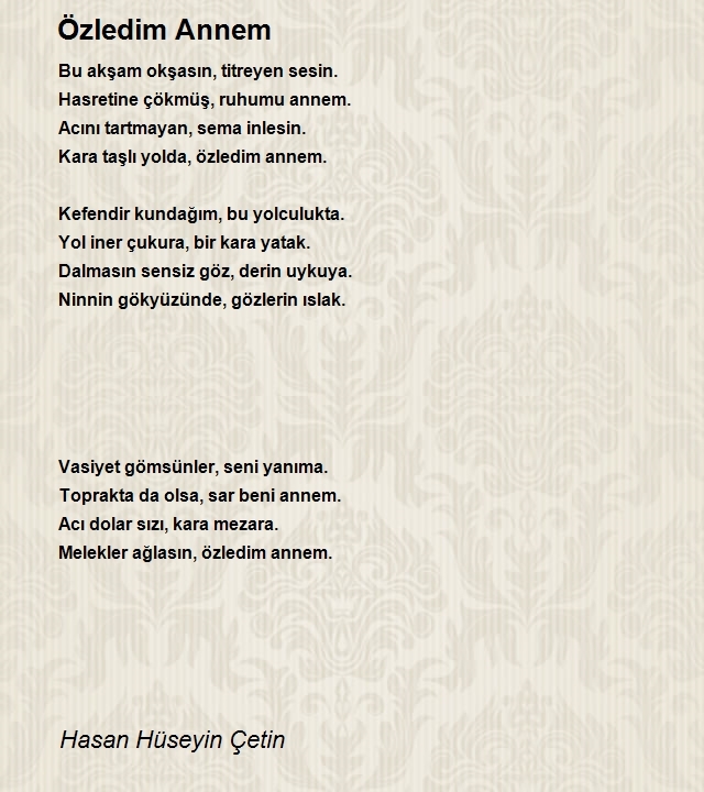 Hasan Hüseyin Çetin