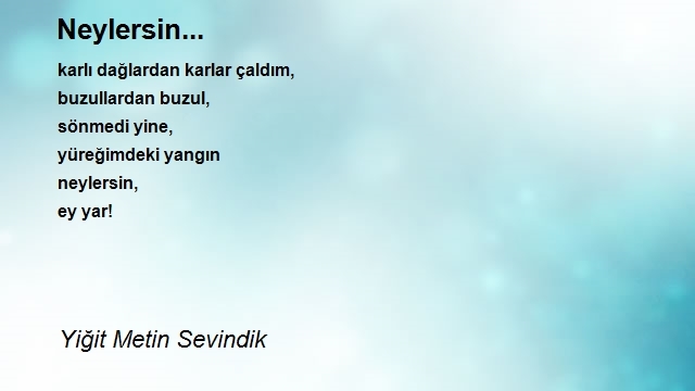 Yiğit Metin Sevindik