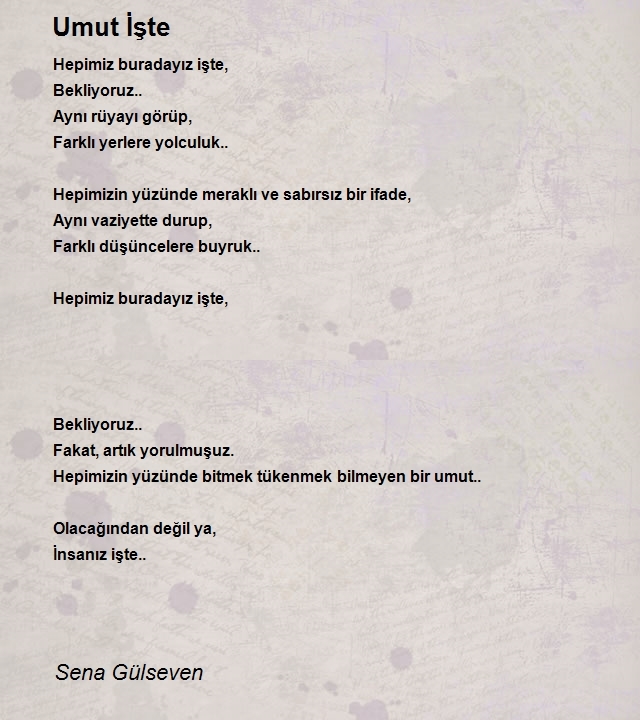 Sena Gülseven