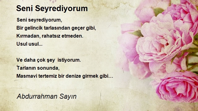 Abdurrahman Sayın