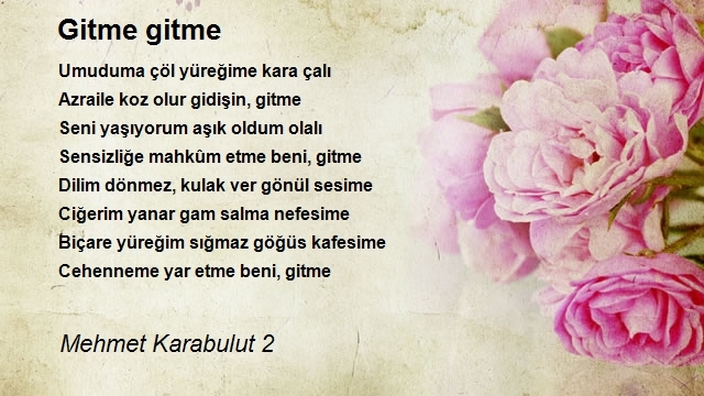 Mehmet Karabulut 2