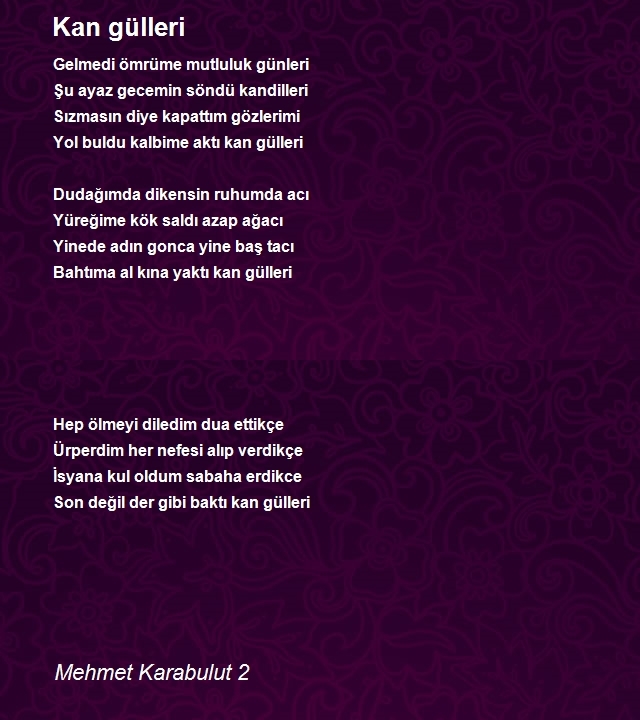 Mehmet Karabulut 2