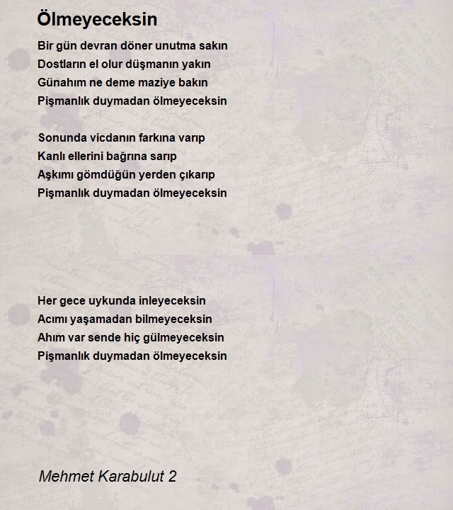 Mehmet Karabulut 2