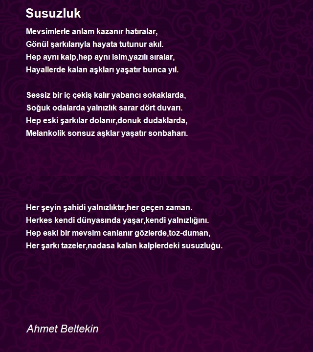 Ahmet Beltekin