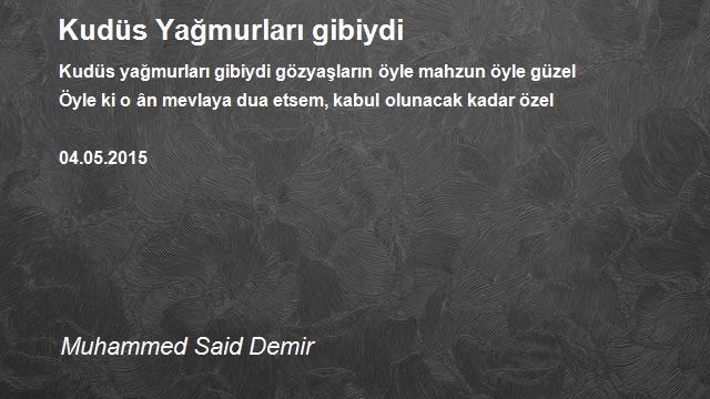 Muhammed Said Demir