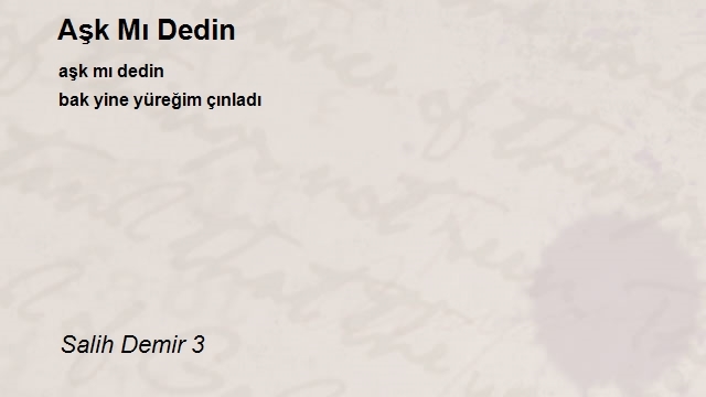 Salih Demir 3