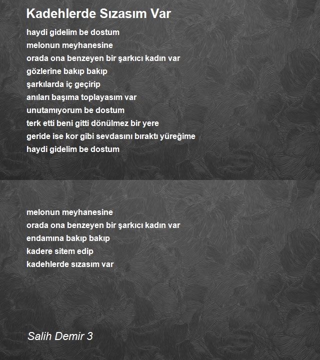 Salih Demir 3