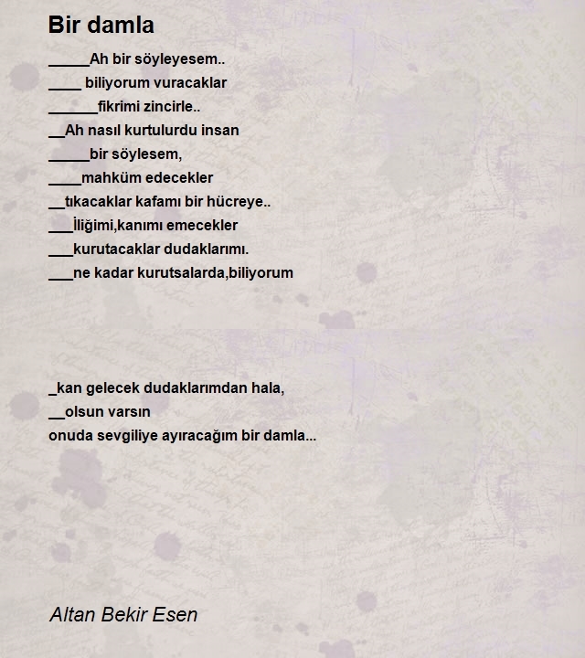 Altan Bekir Esen