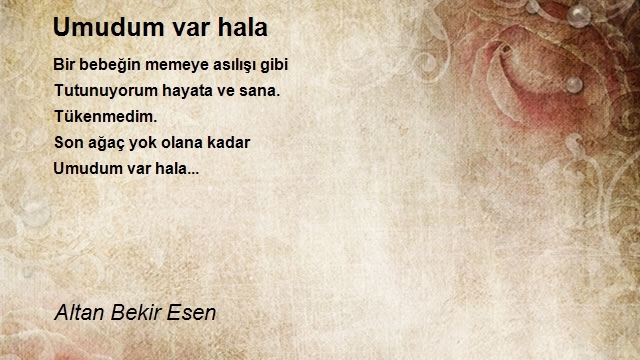 Altan Bekir Esen