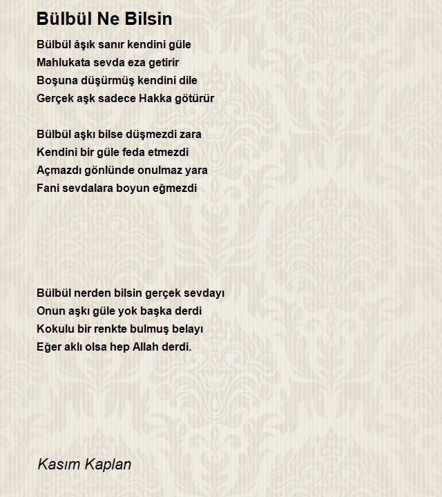 Kasım Kaplan