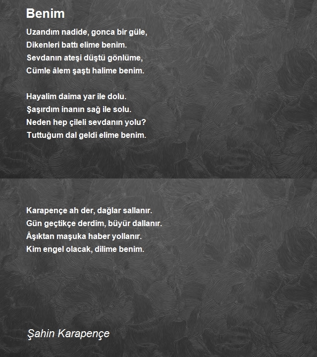 Şahin Karapençe