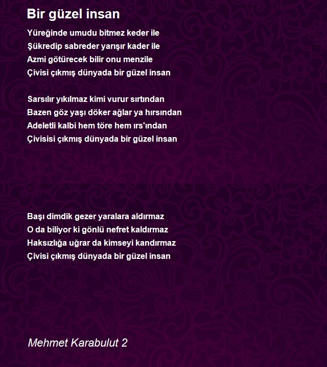 Mehmet Karabulut 2