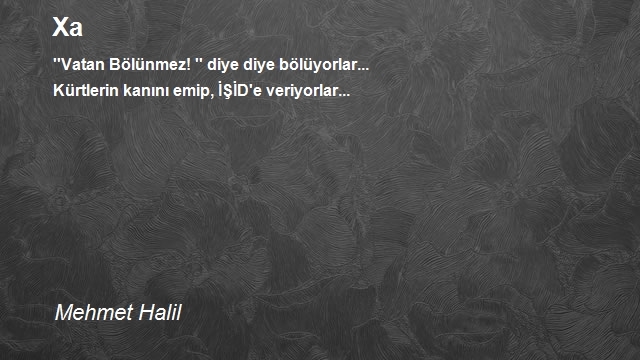 Mehmet Halil