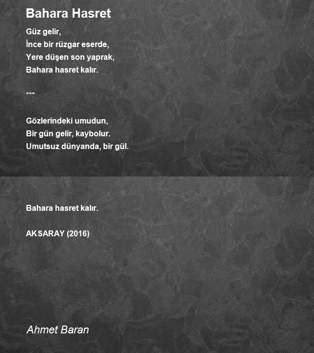 Ahmet Baran