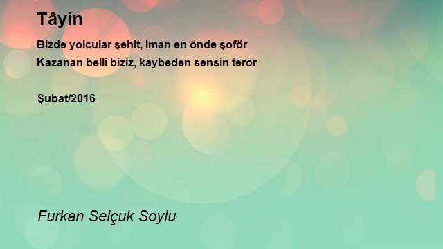 Furkan Selçuk Soylu