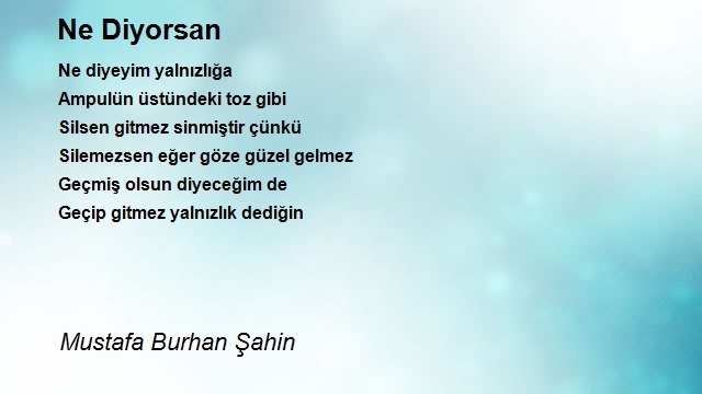 Mustafa Burhan Şahin