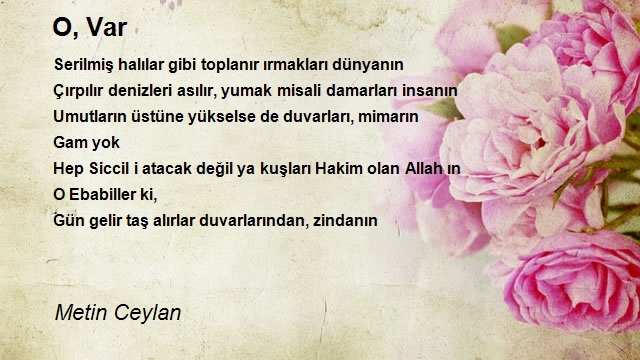 Metin Ceylan