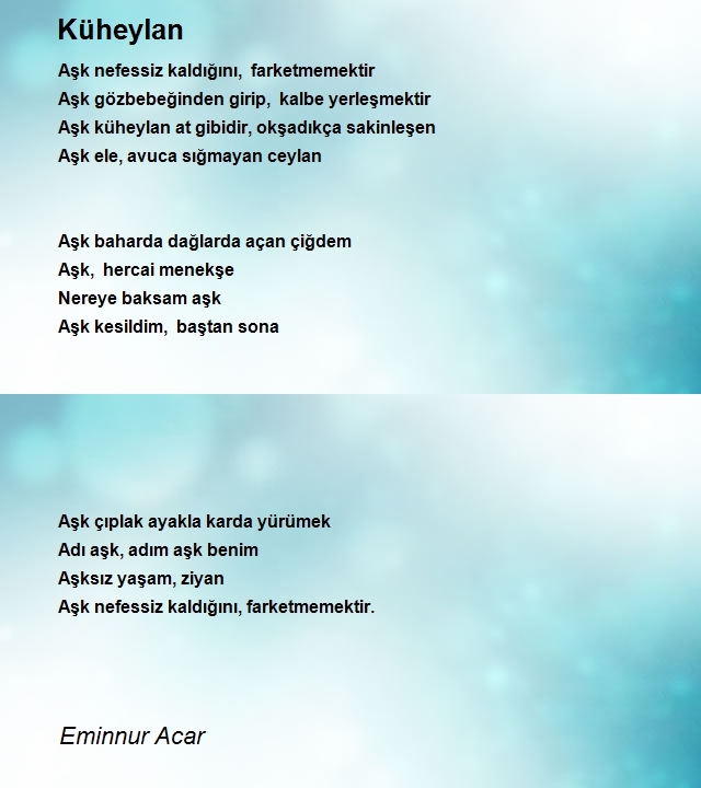 Eminnur Acar