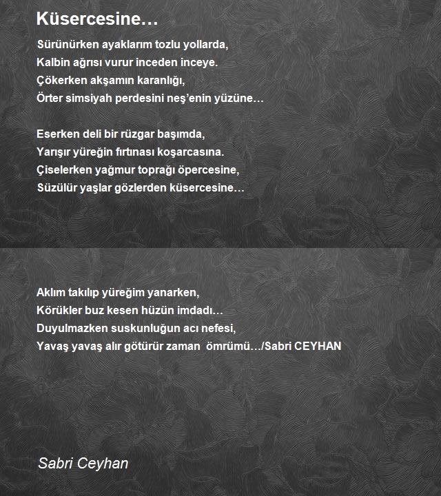 Sabri Ceyhan