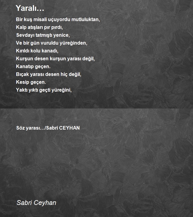 Sabri Ceyhan