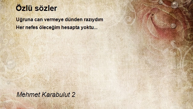 Mehmet Karabulut 2