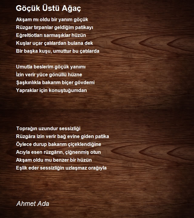 Ahmet Ada