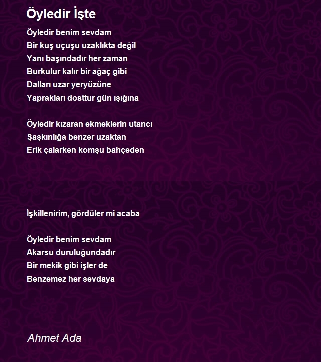 Ahmet Ada