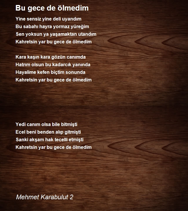 Mehmet Karabulut 2