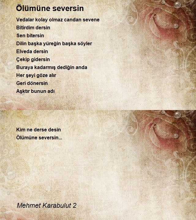 Mehmet Karabulut 2