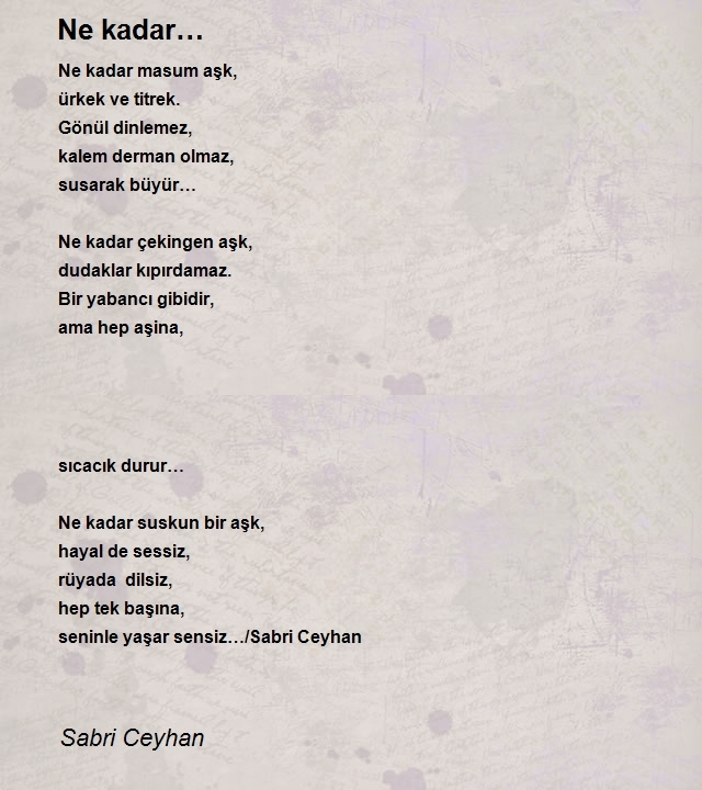 Sabri Ceyhan