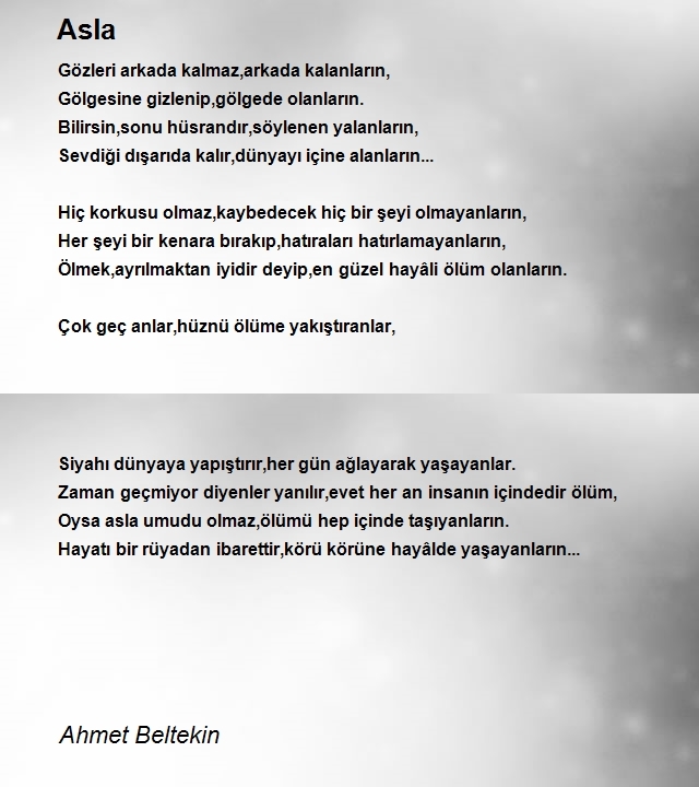 Ahmet Beltekin