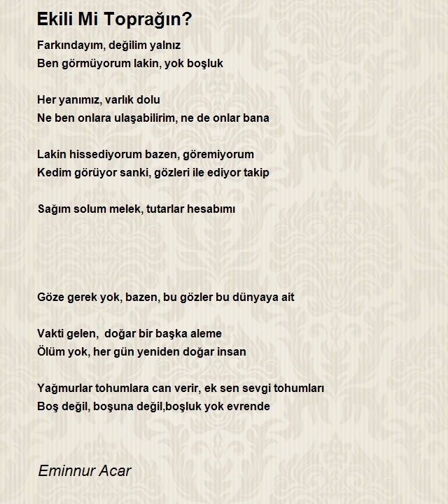 Eminnur Acar