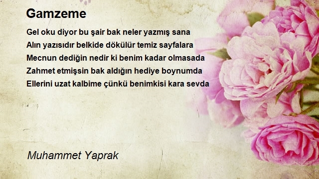 Muhammet Yaprak