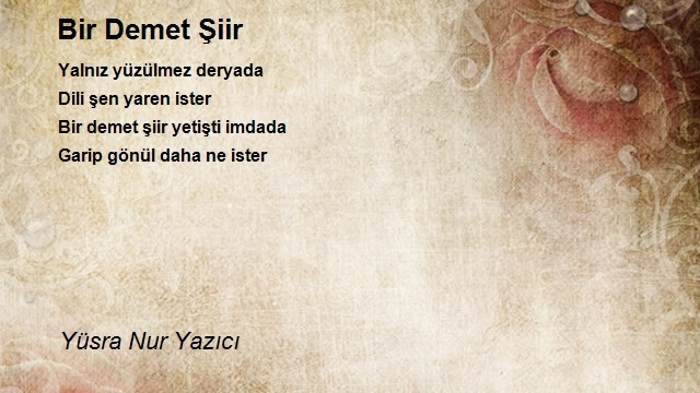 Yüsra Nur Yazıcı