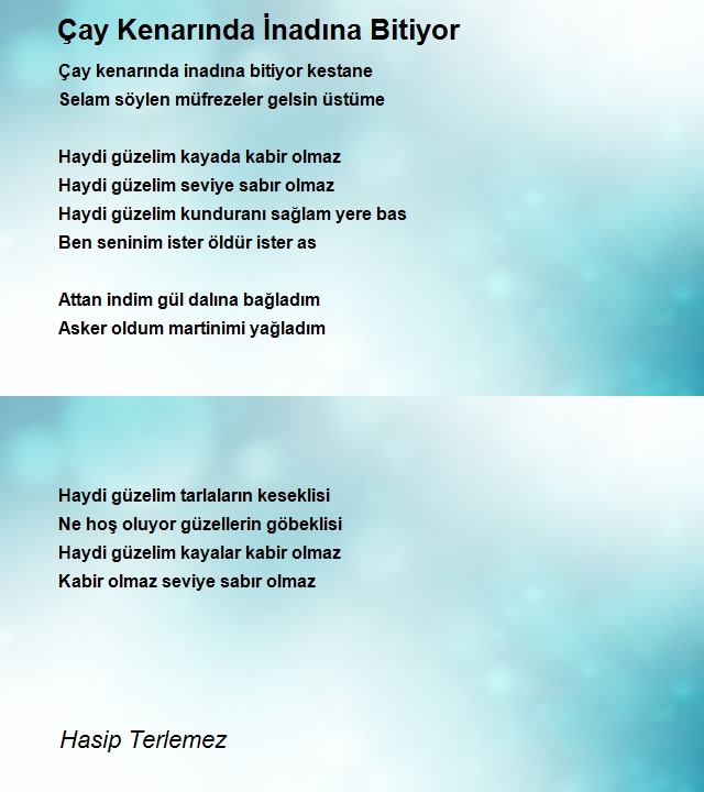 Hasip Terlemez