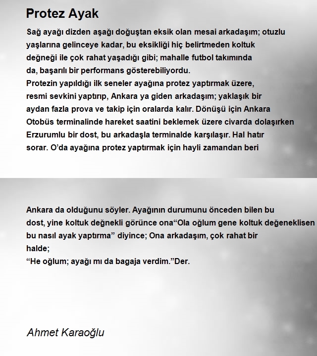 Ahmet Karaoğlu