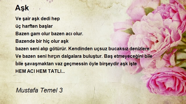 Mustafa Temel 3