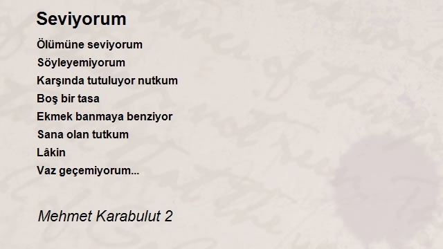 Mehmet Karabulut 2