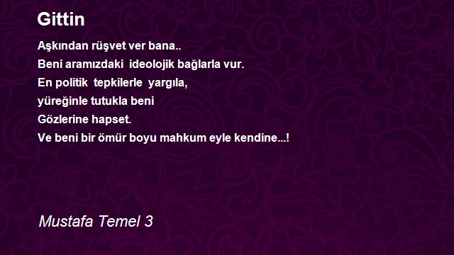 Mustafa Temel 3