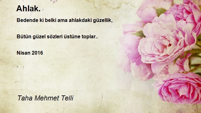 Taha Mehmet Telli