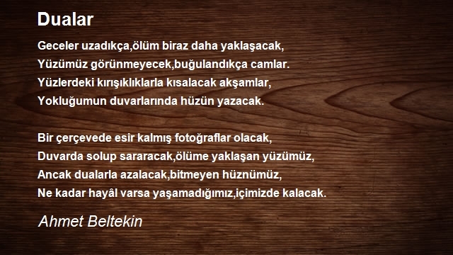 Ahmet Beltekin